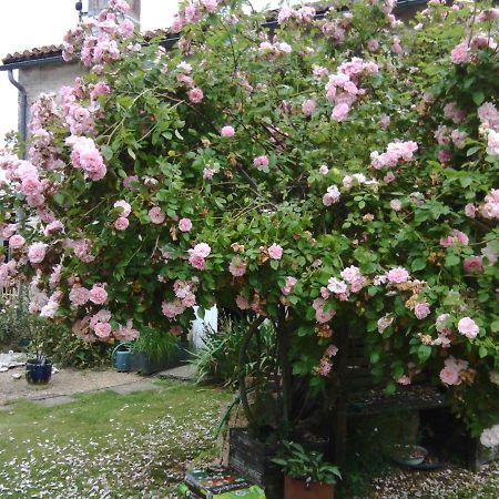 La Rosaliere Bed & Breakfast Chabournay Ngoại thất bức ảnh